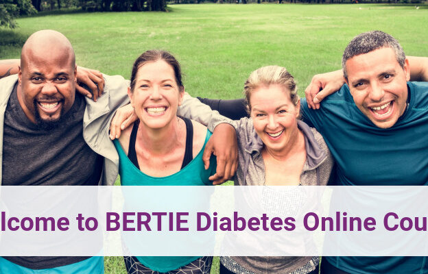 BERTIE Diabetes course image